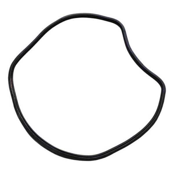 Borracha Porta Traseira Direita Jeep Renegade 1.8 2015 2018