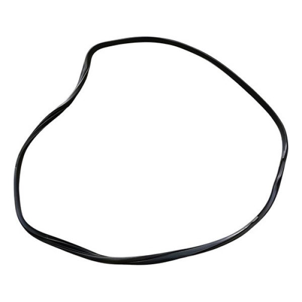 Borracha Porta Traseira Direita Hb20 Hatch 1.0 2013 2017