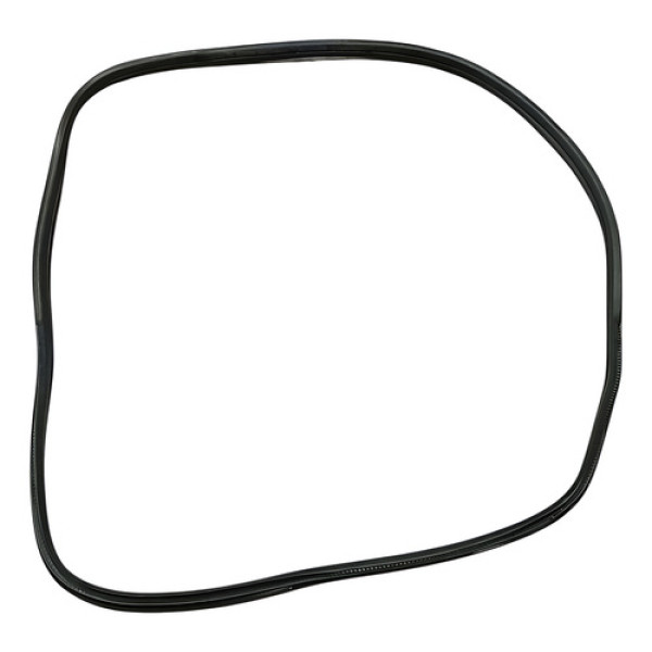 Borracha Porta Traseira Esquerda C4 Pallas 2.0 2008 2012