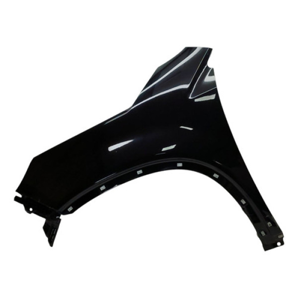 Paralama Esquerdo Kia Sorento 2010 2011 2012 2013