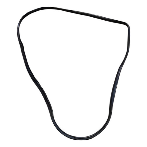 Borracha Porta Dianteira Esquerda Hb20 1.0 2013 2017