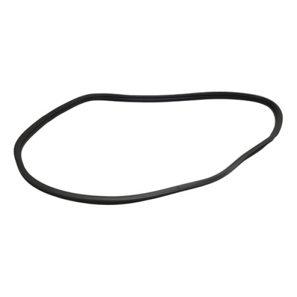 Borracha Porta Traseira Esquerda Logan 1.6 8v 2011 2012 2013